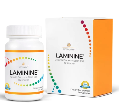 Laminina 30 kaps. LifePharm