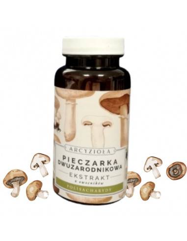 Pieczarka Arcyzioła